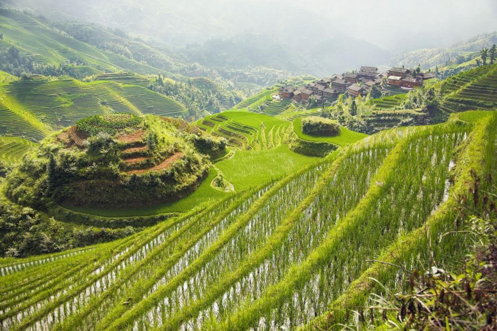 桂林龙胜龙脊梯田