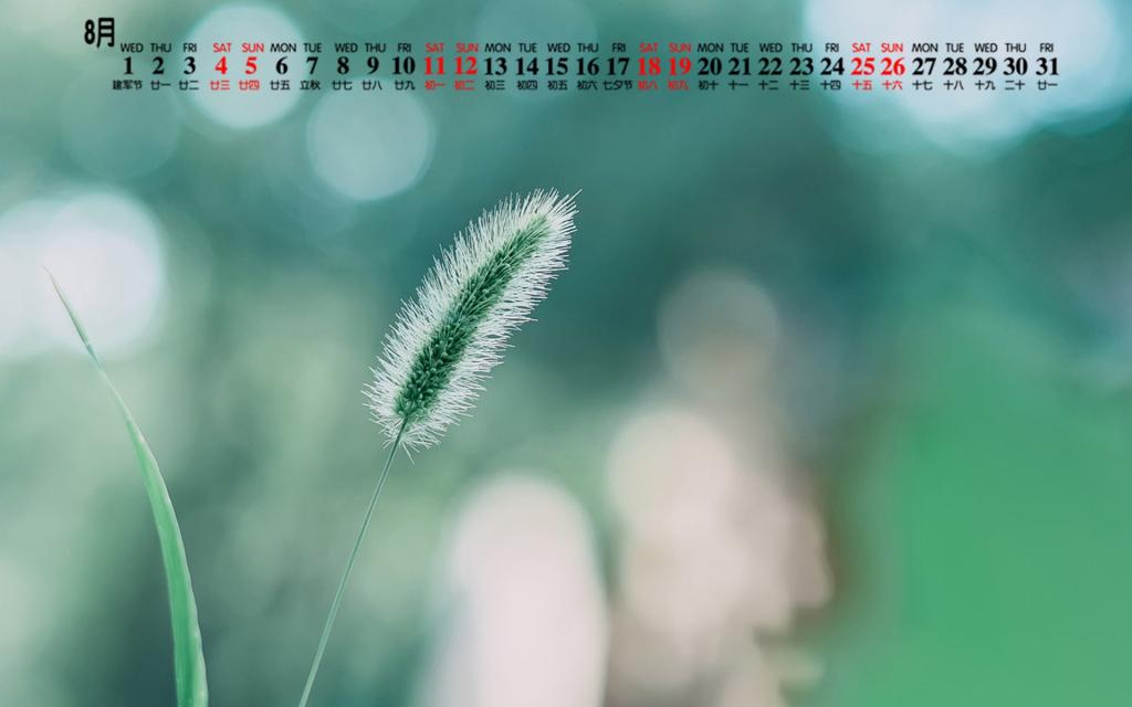 2018年8月小清新绿植唯美写真日历