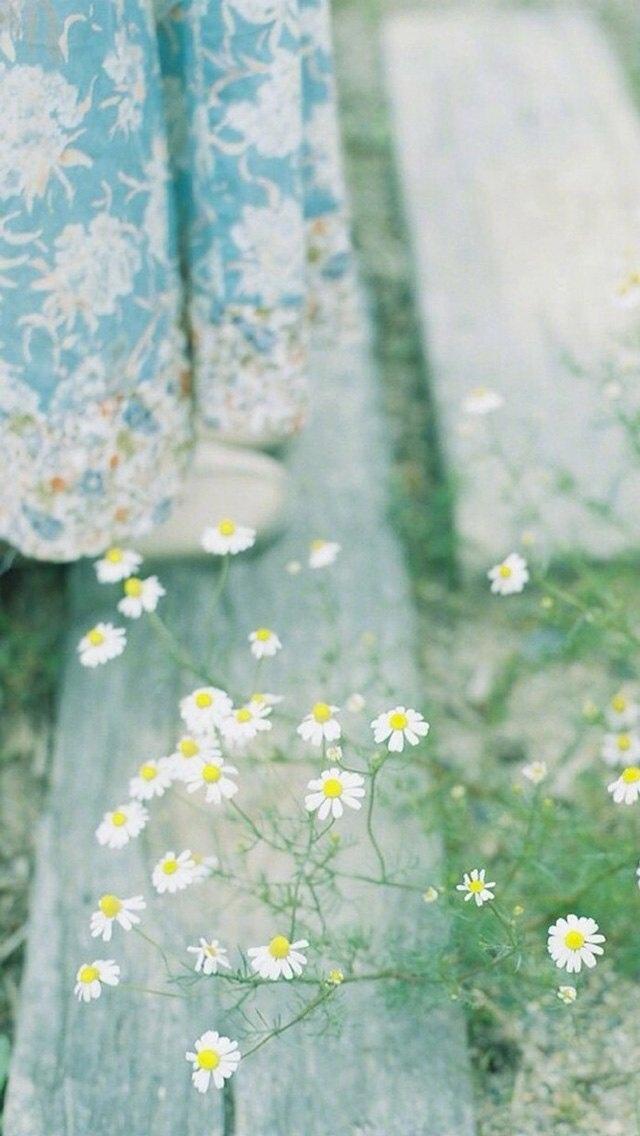 日本城市小清新街景