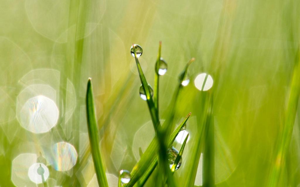 小清新风格护眼ppt唯美背景