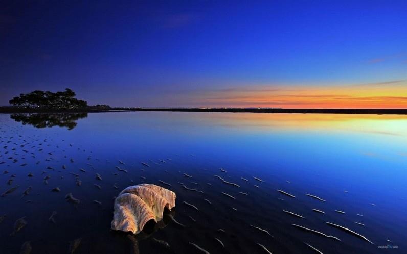 美丽的日落风景