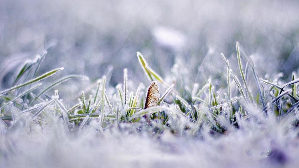 霜降落幕秋剧终