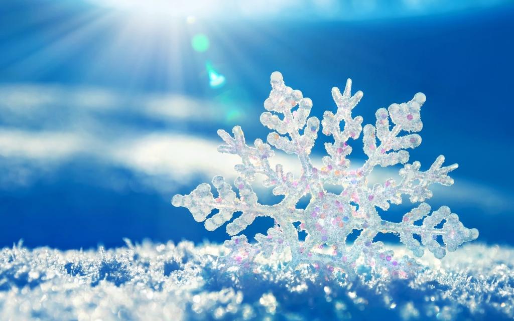 每片雪花都是一幅极其精美的图案