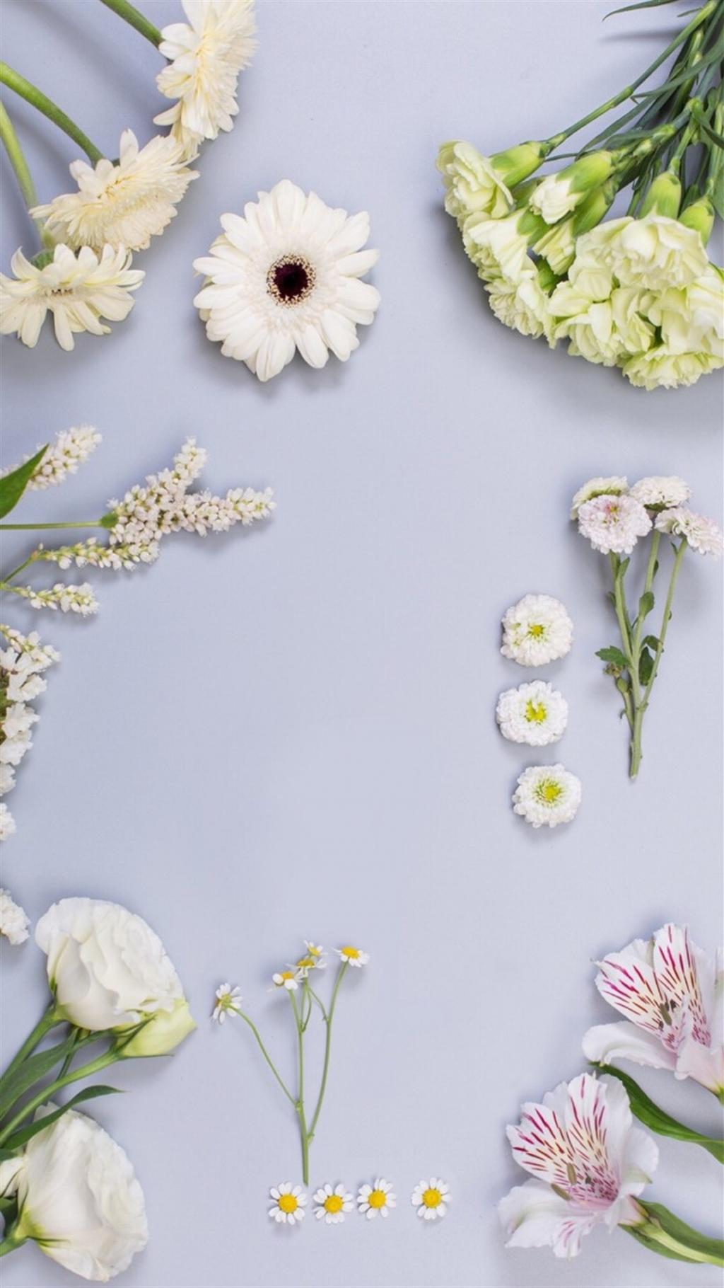 唯美绿色植物花卉图片