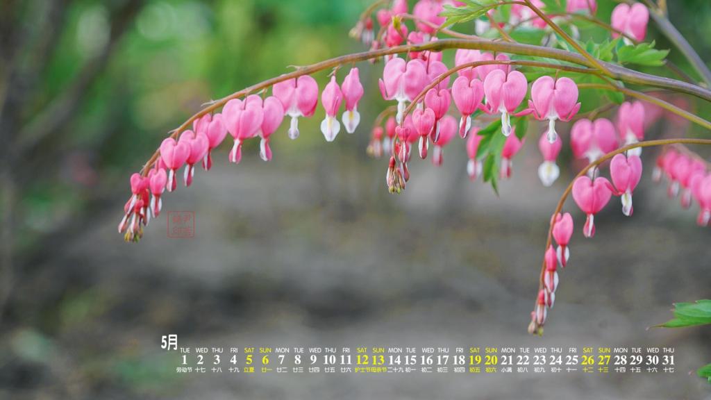 2018年5月花卉日历