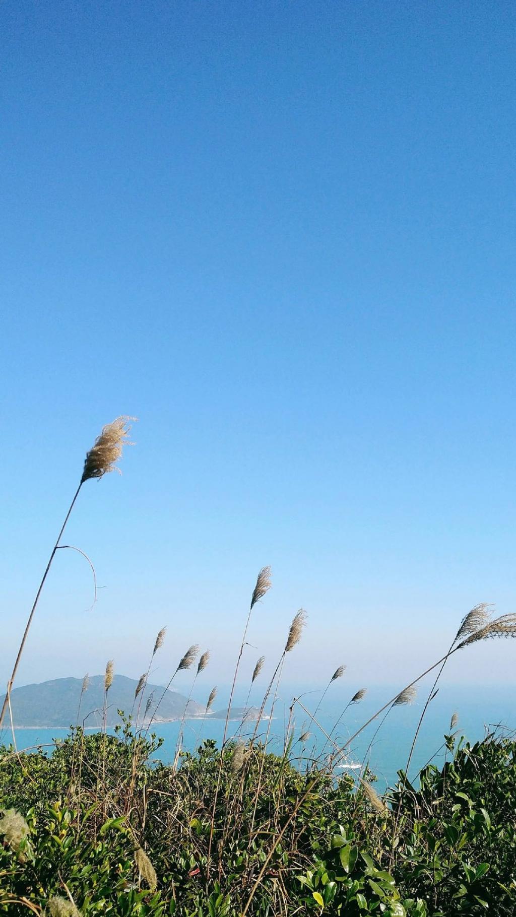 绿色小清新大自然