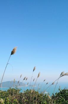 绿色小清新大自然