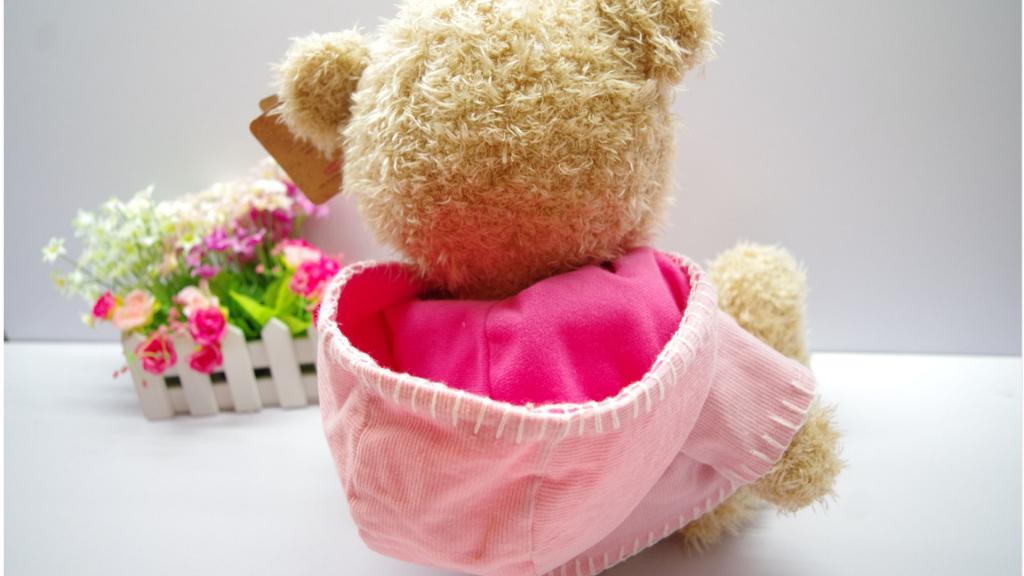 可爱的泰迪熊公仔