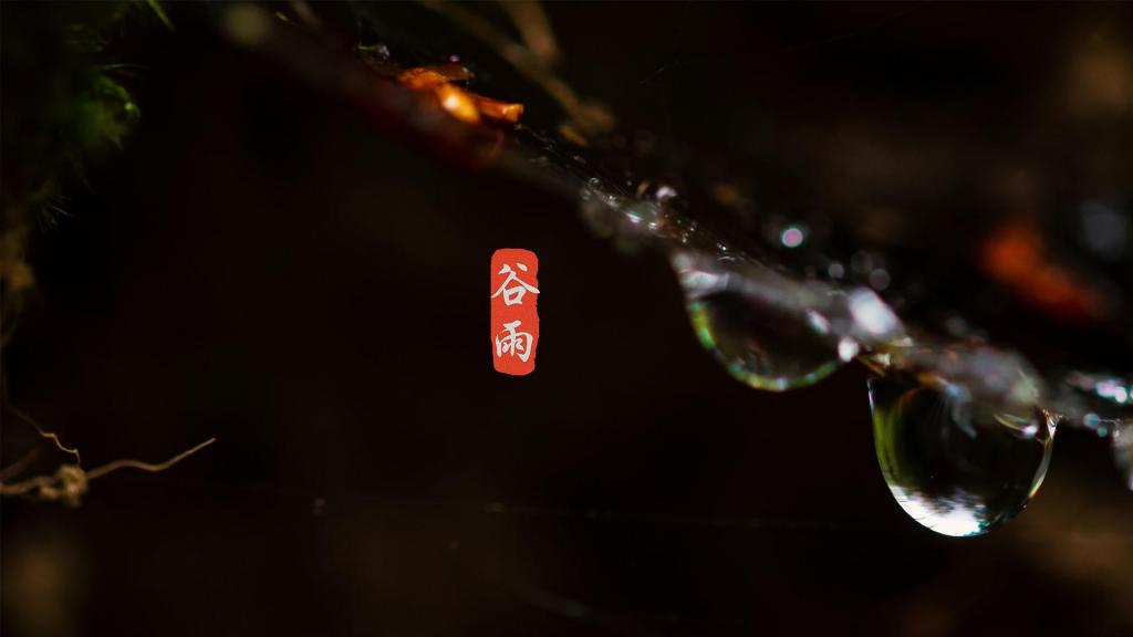 谷雨季节,清新到来