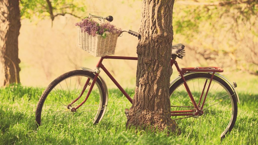 高清唯美自然风景