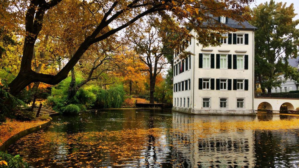 德国的法兰克福