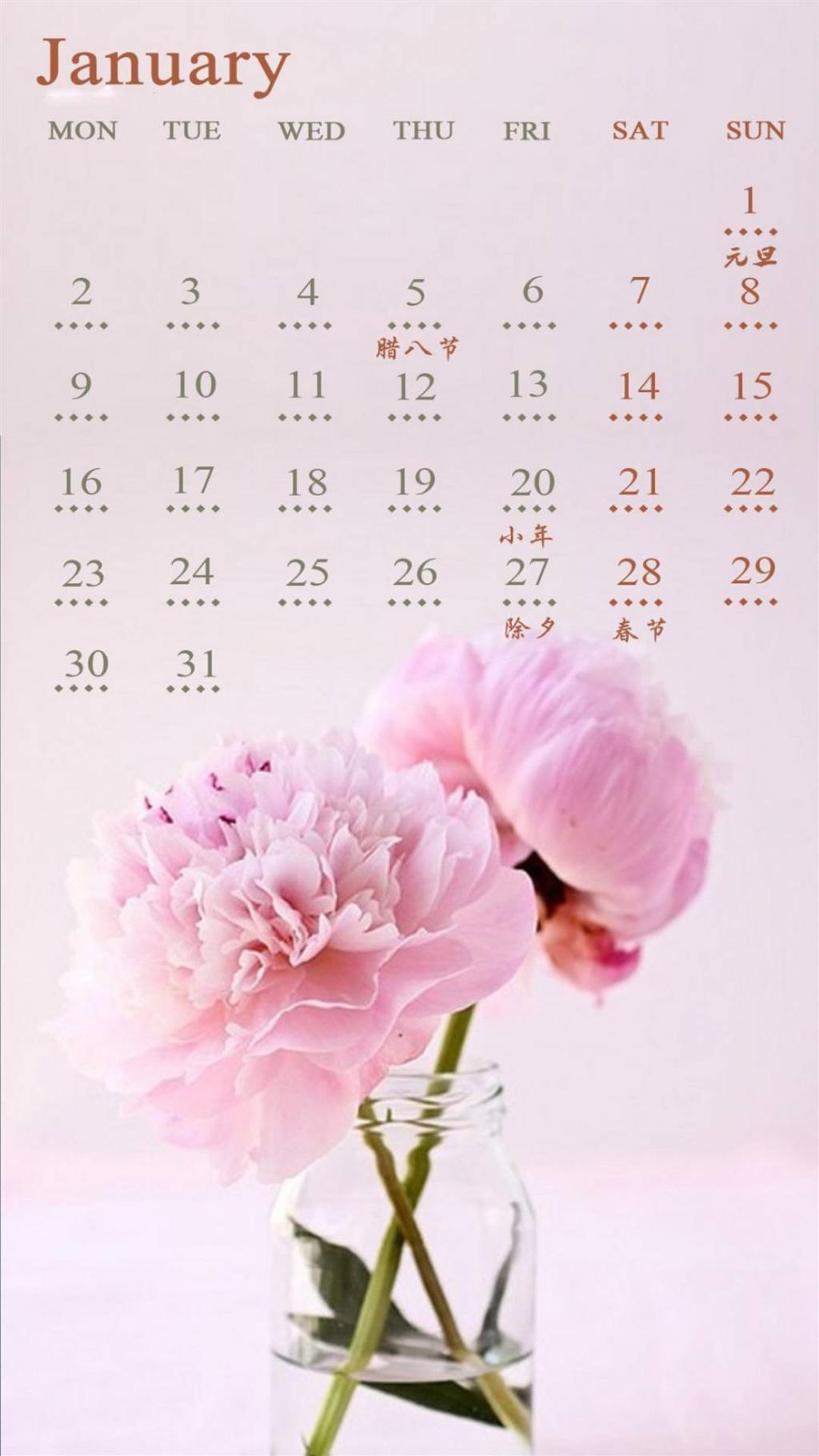 2017年1月小清新花朵日历