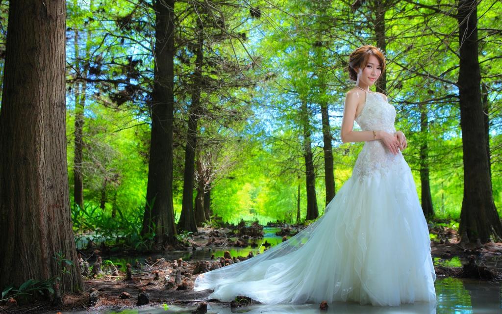 是你给我的爱情