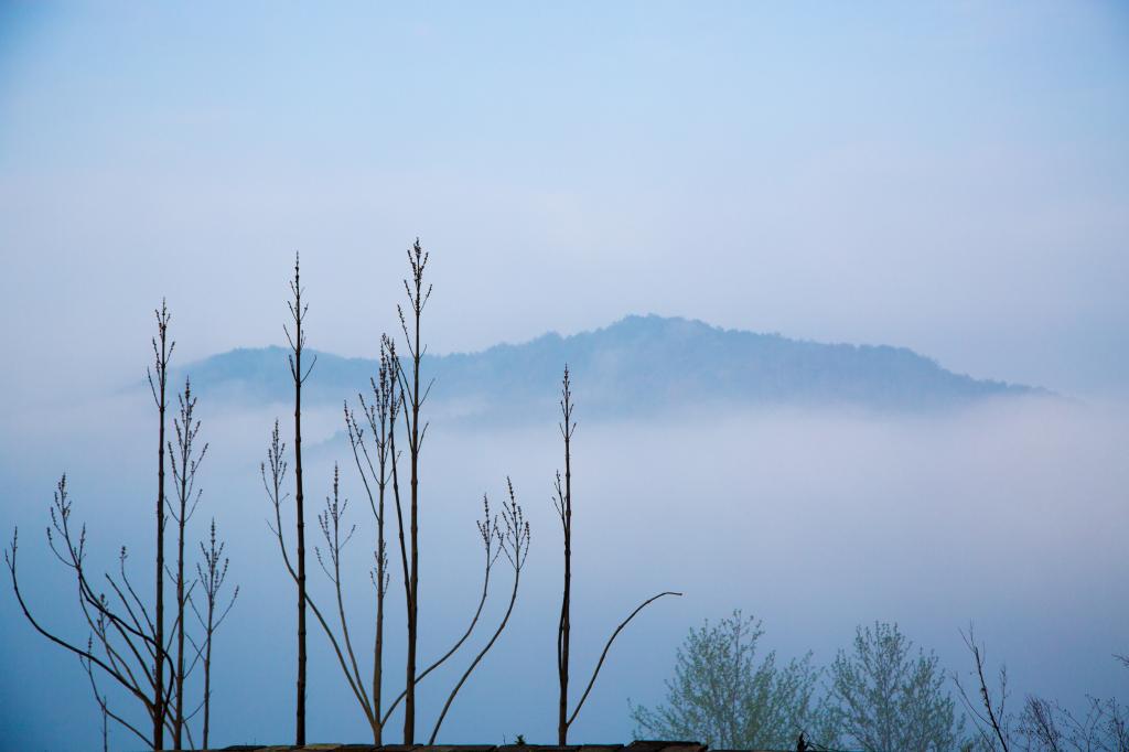 唯美梦幻的雾气