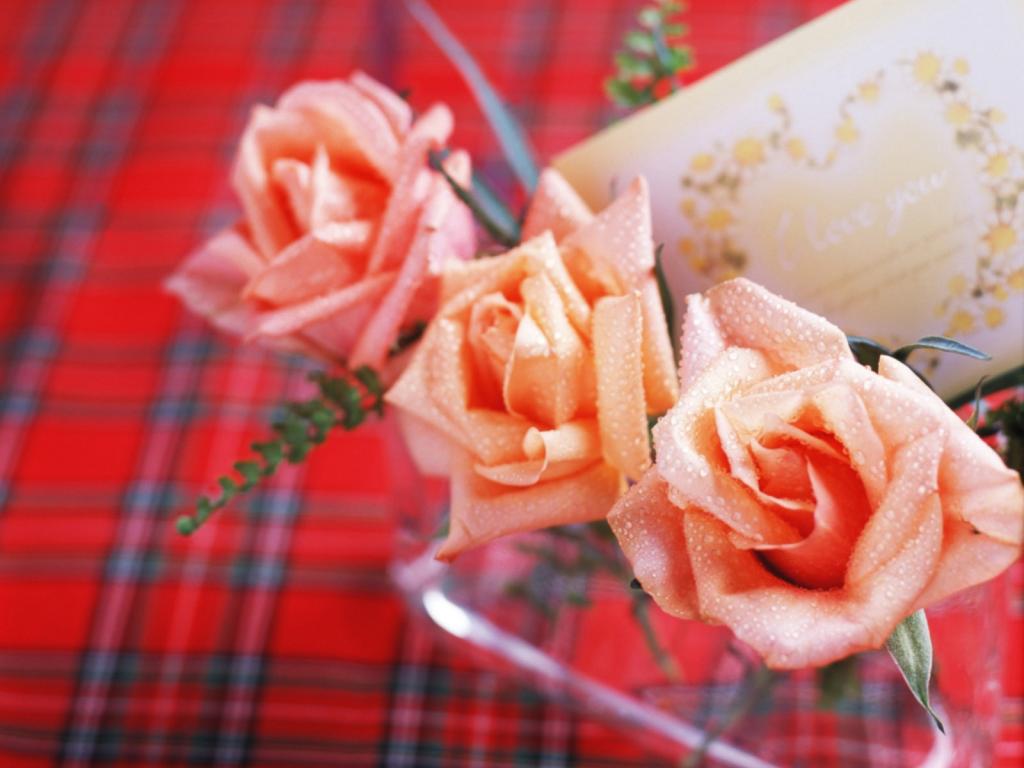 绚丽鲜花特写