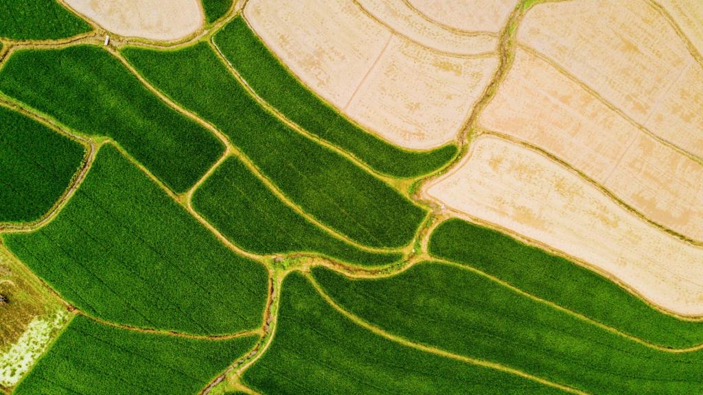 航拍田野清新护眼风景