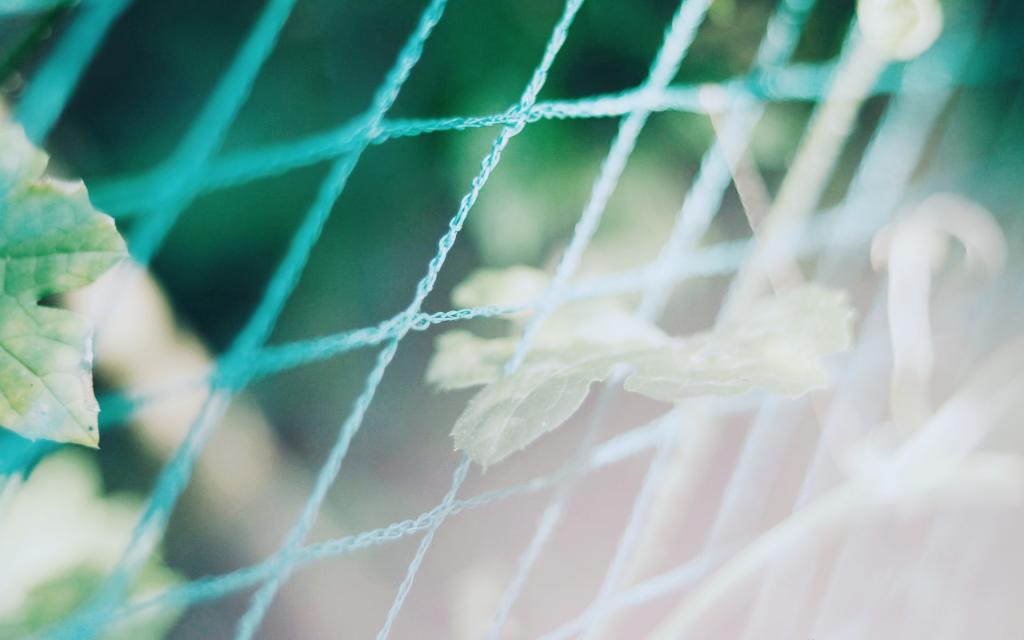 小清新护眼植物写真