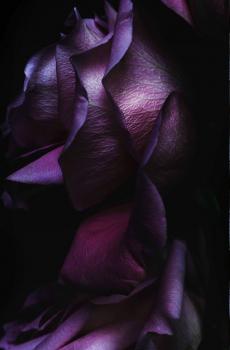 苹果ios10完美专属壁纸-7