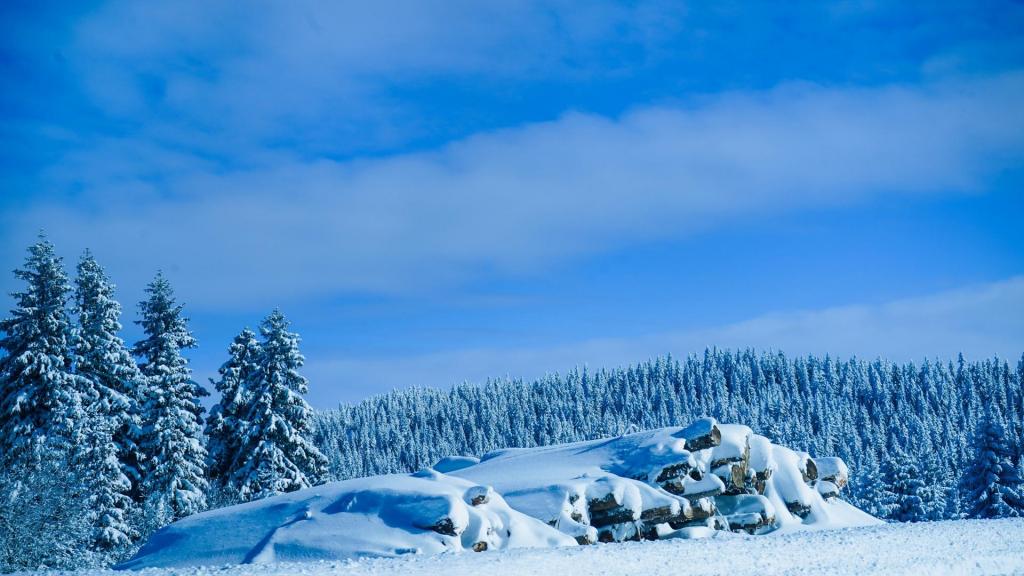 白雪皑皑的雪山