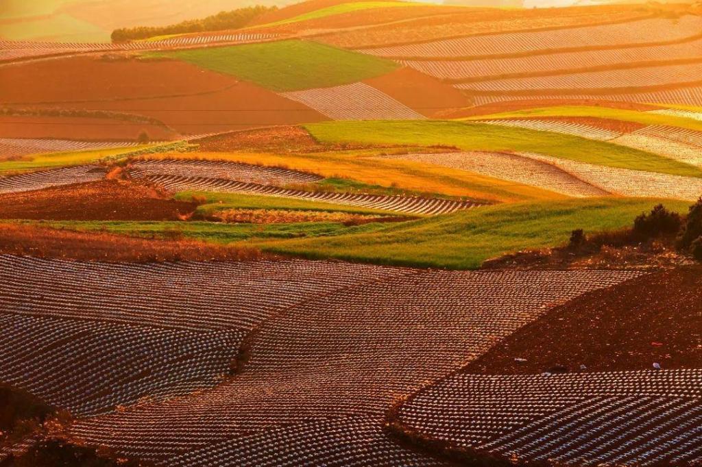 云南省的东川红土地优美自然风光迷人写真