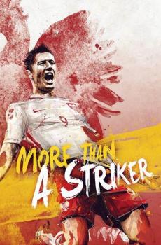 欧洲杯24强帅气写真-4