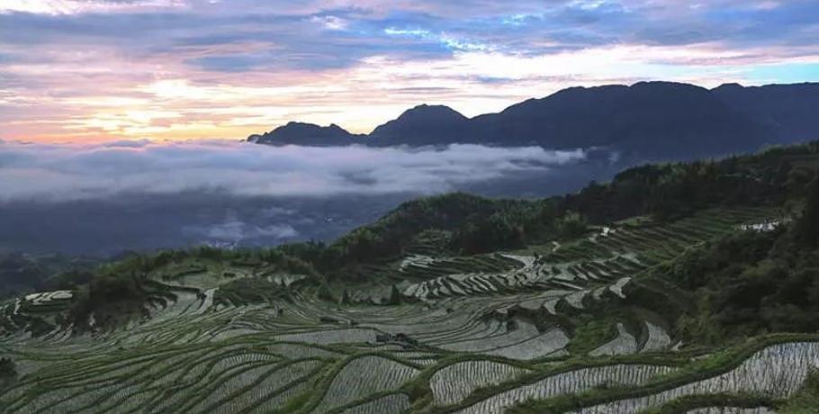 优美的大自然梯田风光美景