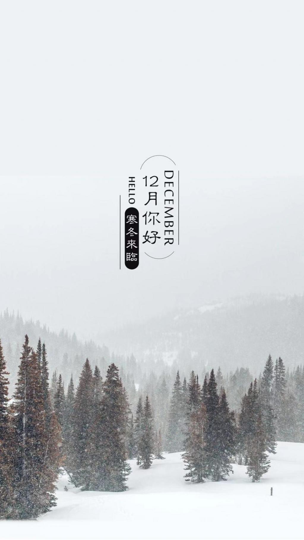 美好的十二月,你好