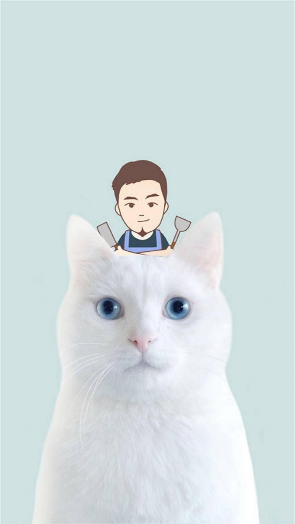 卡通猫咪头顶各种萌物