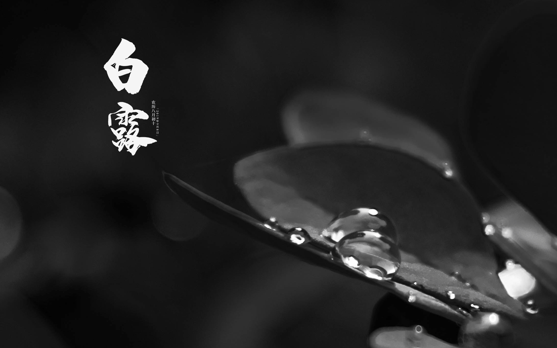 中国传统节气白露