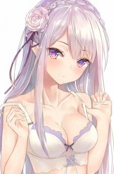 二次元美少女爱蜜莉雅-1