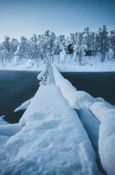 动物们的冬季-0