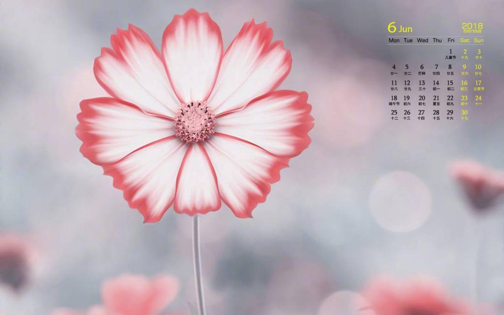 2018年6月小清新唯美花卉日历