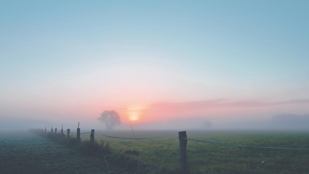 雾漫仙境的感觉