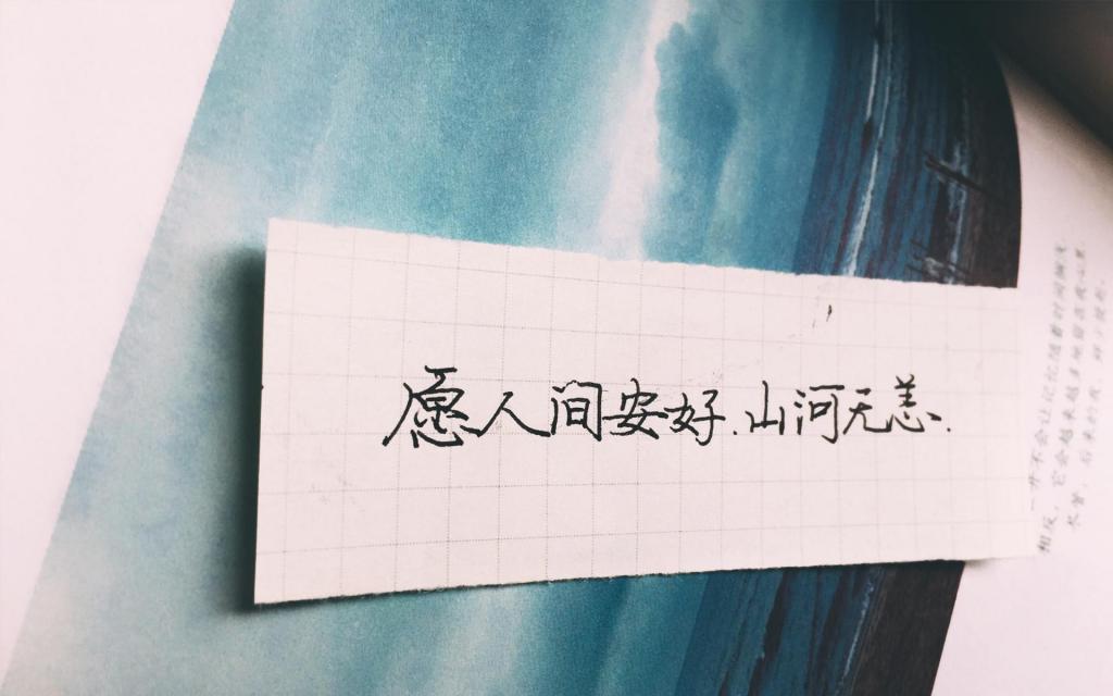 今日份手摘2020心愿