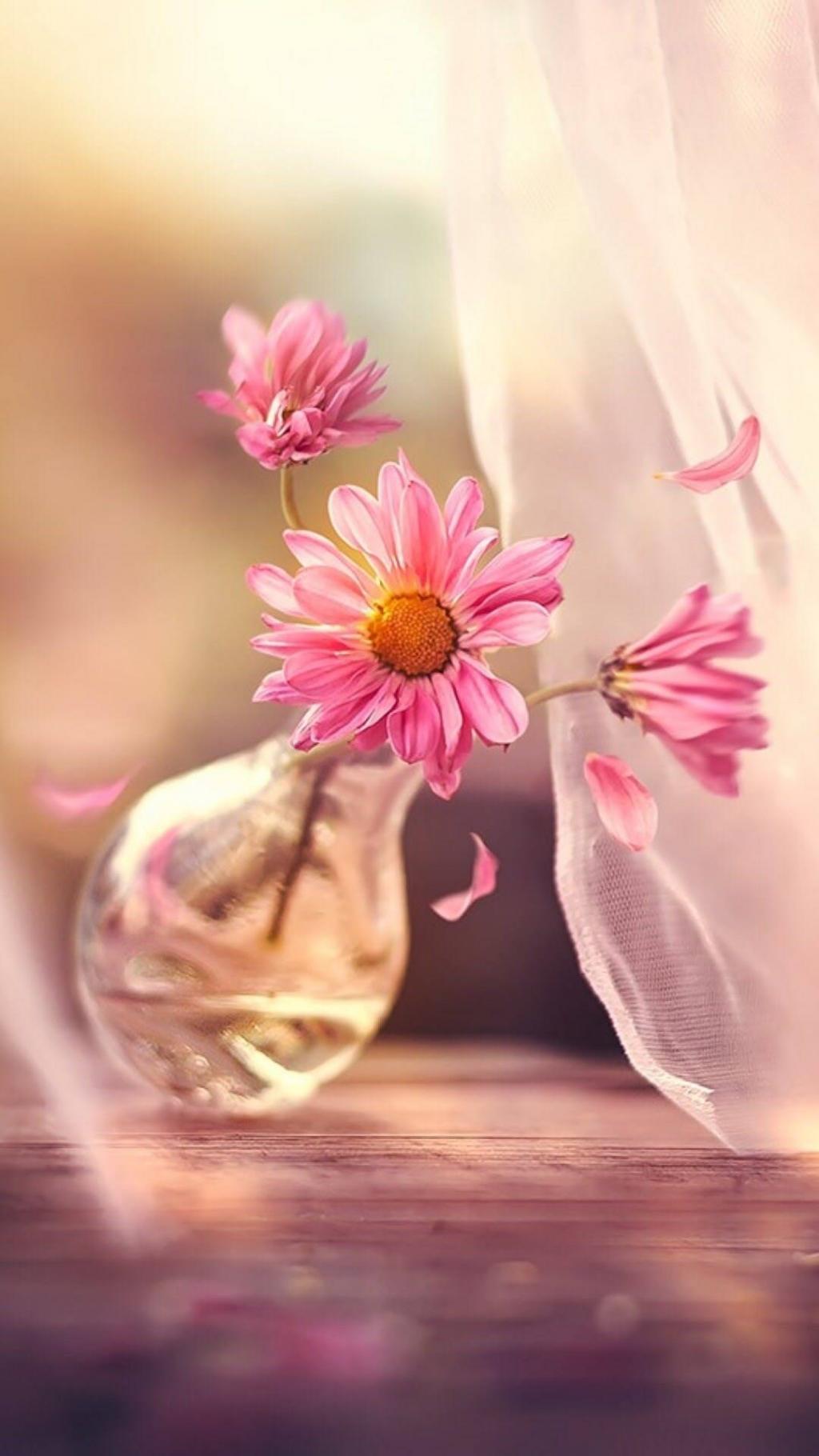 唯美色调清新花卉