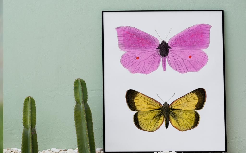 充满艺术感的小仙人掌摆设