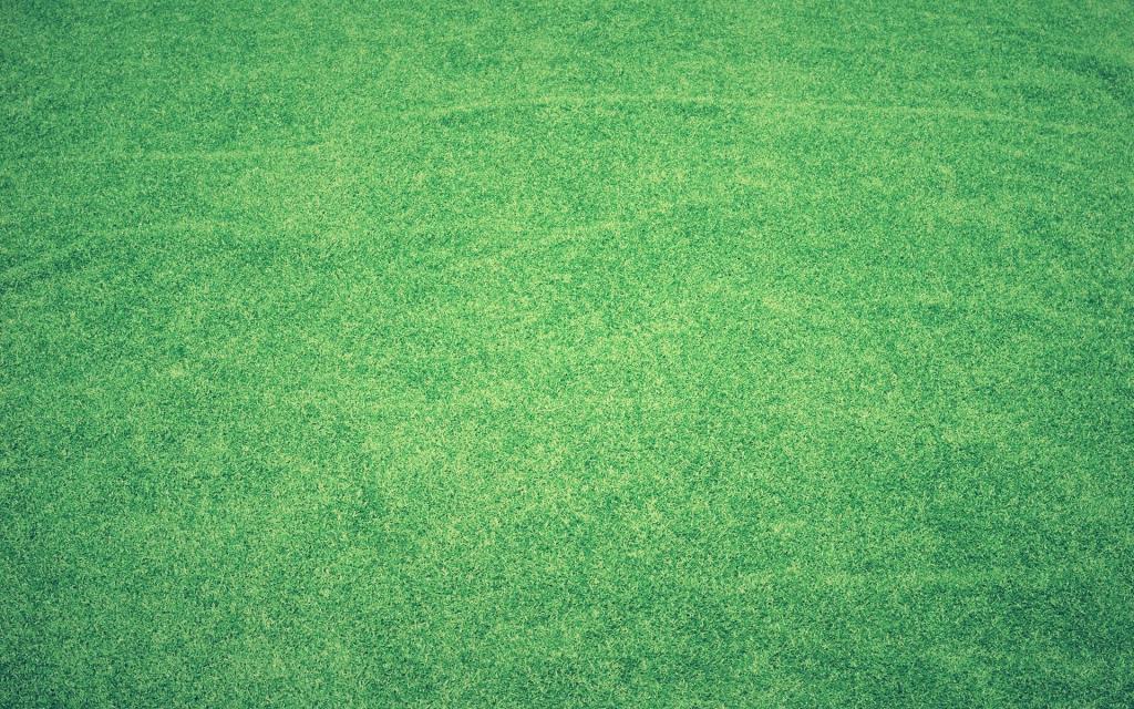 唯美小清新最新ppt背景图