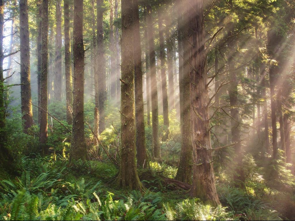 山光明媚，水色秀丽