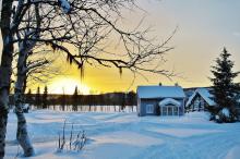 白茫茫的冬日雪景