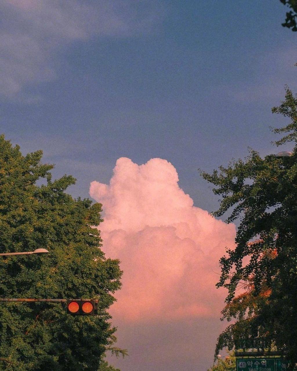 清新唯美迷人黄昏美景