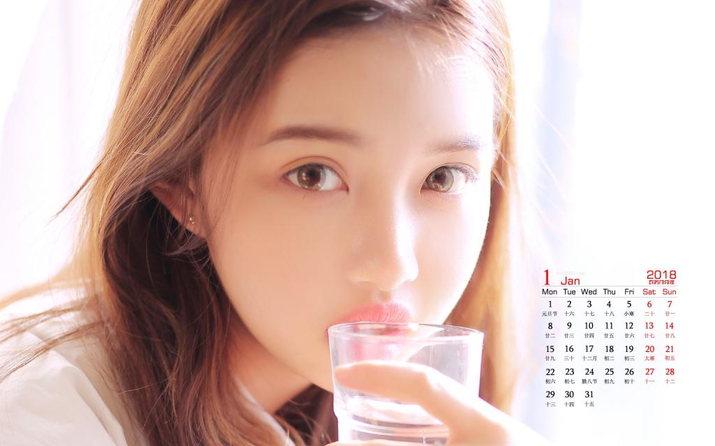 2018年1月文艺美女写真日历