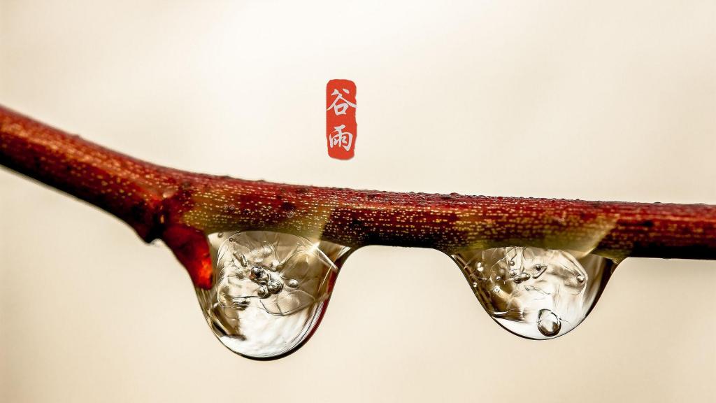 谷雨季节,清新到来