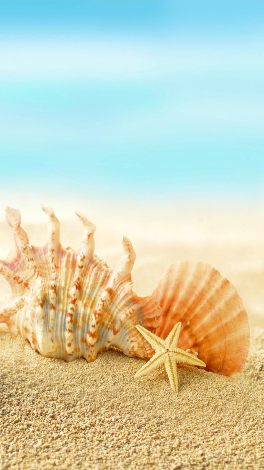 五颜六色的海星