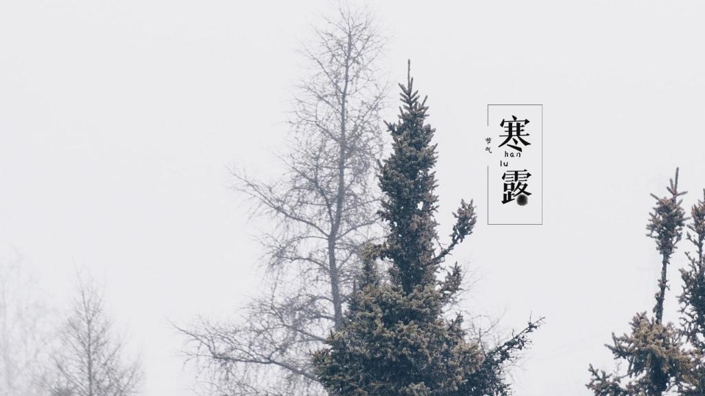 寒露时节优美森林风景