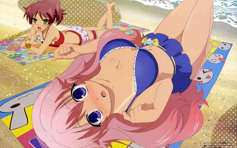 精选《笨蛋测验召唤兽》可爱动漫