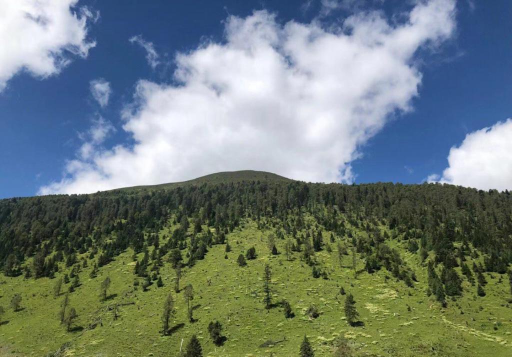 享受自然的唯美风景