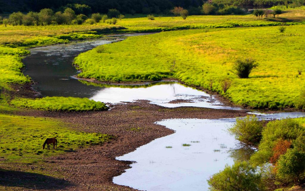 美丽的呼伦贝尔草原