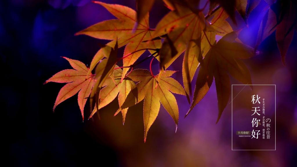 十月你好,秋天你好