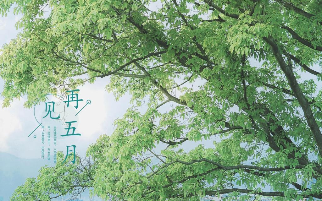 朋友圈五月再见小清新唯美自然风光