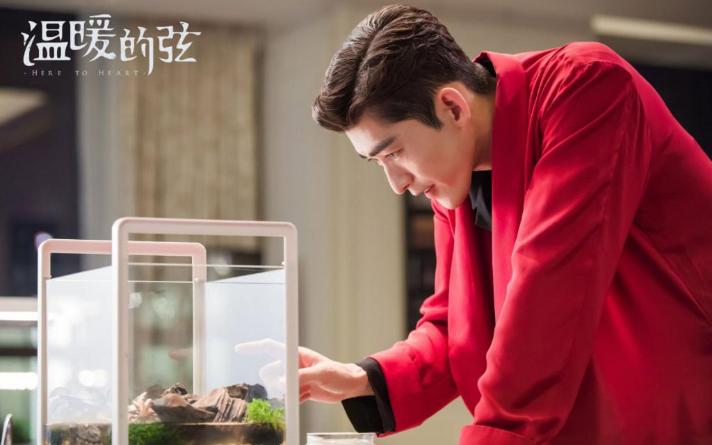 《温暖的弦》张翰剧照